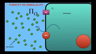 Tonicity vs Osmolality