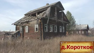 Деревни в глубинке России. Опустевшая деревня у леса. Здесь раньше кипела жизнь. Заброшенные дома.