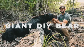 DIY Backcountry Bear Hunting - PART 1