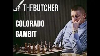 Chess Tips: A Positional Massacre of the Colorado Gambit!