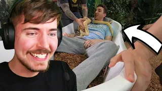 Would you Sit In a Tub of Snakes For $10,000 - MrBeast