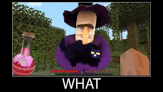 Minecraft wait what meme part 171 realistic minecraft Witch