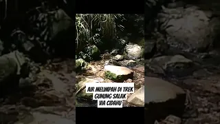 Mata air Gunung Salak #shortvideo #shortsviral #short