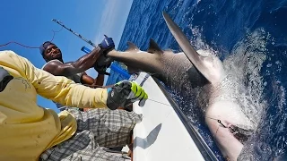 Shark Challenge with NFL Linebacker Sam Barrington - ft. Chew On This