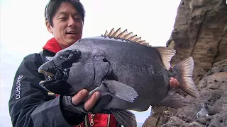 【釣り百景】＃192 穂先に伝わる魚の鼓動！長崎県五島列島でイシダイ釣り