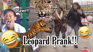 Public Leopard PRANK!! 😂