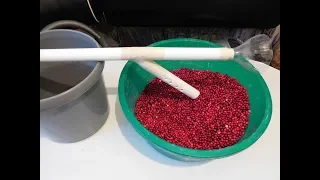 How to quickly sort out the berry from the garbage