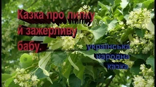 Казка про липку й зажерливу бабу.