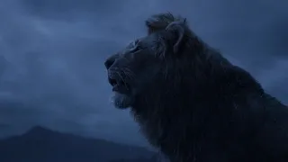 Lion King 2019 - Circle of life [Reprise] (Ukrainian) Subs & Trans