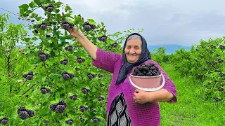 Harvesting Lots of Fresh Blackberries and Making Jam and Cake in the Village!