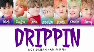 [SUB INDO] NCT DREAM (엔시티 드림) - "DRIPPIN"