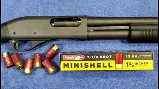 12 Gauge Mini Shells & Remington 870 Shotgun - Will They Cycle? Failure! DO NOT USE FOR HOME DEFENSE