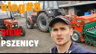 VLOG #8 Siew Pszenicy! Zestaw AGRO-MASZ || Ursus 1634 Cab View