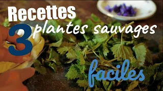 PLANTES SAUVAGES : 3 recettes archis SIMPLES pour réussir à les manger !