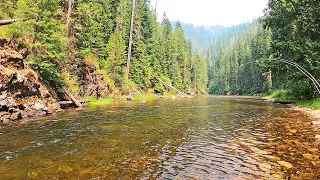 WHY do LOCALS say this is "The BEST FLY FISHING" stream in Idaho...I'll show you!  part 31