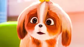 The Secret Life Of Pets 2 ‘Meet Daisy’ Trailer (2019) HD