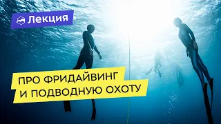 Про фридайвинг и подводную охоту - спорт на одном дыхании