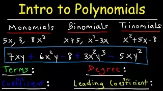 Polynomials - Classifying Monomials, Binomials & Trinomials - Degree & Leading Coefficient