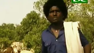 milenu eritrea best tigrnya music