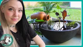 PATIO POND for Fancy Goldfish!