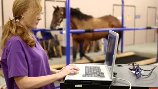 LSU School of Veterinary Medicine's Graduate Degree Program