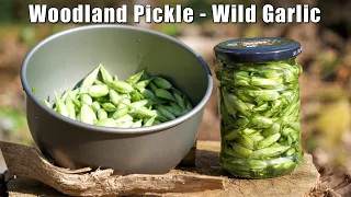 Making Pickled Wild Garlic (Ransoms) in a Woodland