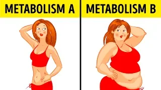 What the Metabolic Diet Is and How It Works