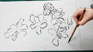 Как рисовать Контурную Магнолию видео урок How to draw Contour Magnolia tutorial 목련 그림 그리기