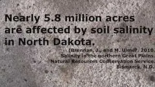 NDSU: Langdon Research Extension Center: Saline and Sodic Soils part 1