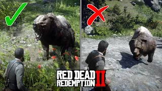 Stand Still vs. Try to Run Away in a Bear Encounter (RDR 2 Facts)