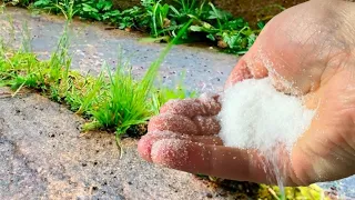 Weeds disappear in 1 minute forever! The strongest organic herbicide for control! 50 recipes