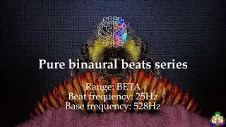 Pure binaural beat 25Hz Beta waves 528Hz
