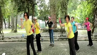 To Love Somebody (Remix) - Line Dance (Beginner)(Penny Tan & Shirley Bang)