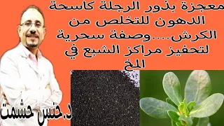 مايجب معرفته عن نبات الرجلة/فوائد وأضرار/أهميته للأطفال والرياضيين/علاقته بالجنس/كيفية الإستفادة منه