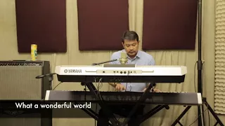 What a wonderful world (cover)