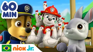 Patrulha Canina | 1 hora dos resgates de animais superfofos! | Nick Jr. em Português