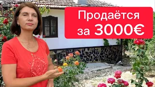 Что можно купить в Болгарии? Участок или дом под снос. Иллюзии или реальность? Ремонт старого дома!