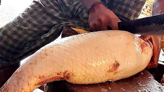 Amazing Cutting Skills | Big Carp Fish Cutting In Bangladesh Fish Market