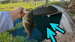 CANAL Fishing For HUGE BASS And SNAKEHEAD In South FLORIDA (Boca Raton)