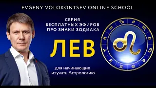 ЛЕВ-про плюсы и минусы / Про самый большой страх Львов / Евгений Волоконцев