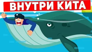 Что случится, если кит проглотит вас?