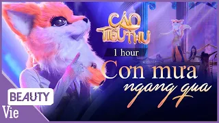 Cơn Mưa Ngang Qua - 1 hour - Cáo Tiểu Thư làm mới bản hit của Sơn Tùng MTP | THE MASKED SINGER