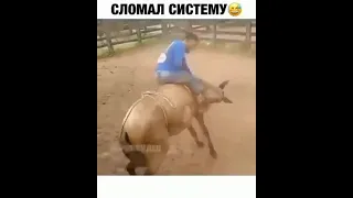 🤣 #лошади #ржака #приколы