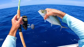 Epic Sight Fished Florida Marlin - This Bait Lasts About Two Seconds!! Tuna Catch n Cook!