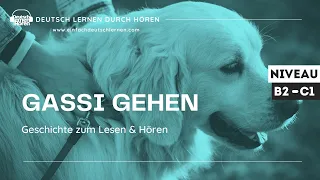 #363 Geschichte zum Lesen & Hören | Thema: Gassi gehen | Deutsch lernen durch Hören | B2 - C1 - DldH