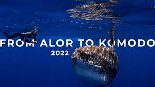 Alor to Komodo 2022