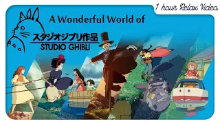 A Wonderful World of Studio Ghibli /1 hr of Relaxing, Calming, Relaxing, & Sleeping video