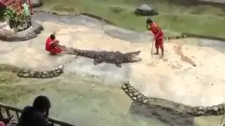 Crocodile Bites Man's Head During Show