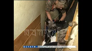 Ручная ворона и мусор от пола до потолка - семья «плюшкиных» отравляет жизнь дома в Балахне