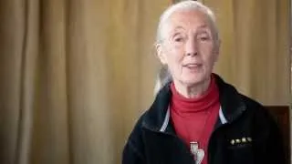 A Message from Dr. Jane Goodall- Save Wolf Lake